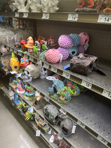 Pet Supply Store «Petco Animal Supplies», reviews and photos, 3551 W Hillsboro Blvd, Deerfield Beach, FL 33442, USA