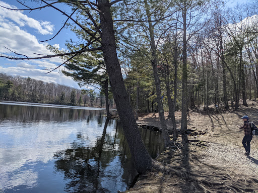 Outdoor Sports Store «Maple Hill Disc Golf», reviews and photos, 132 Marshall St, Leicester, MA 01524, USA