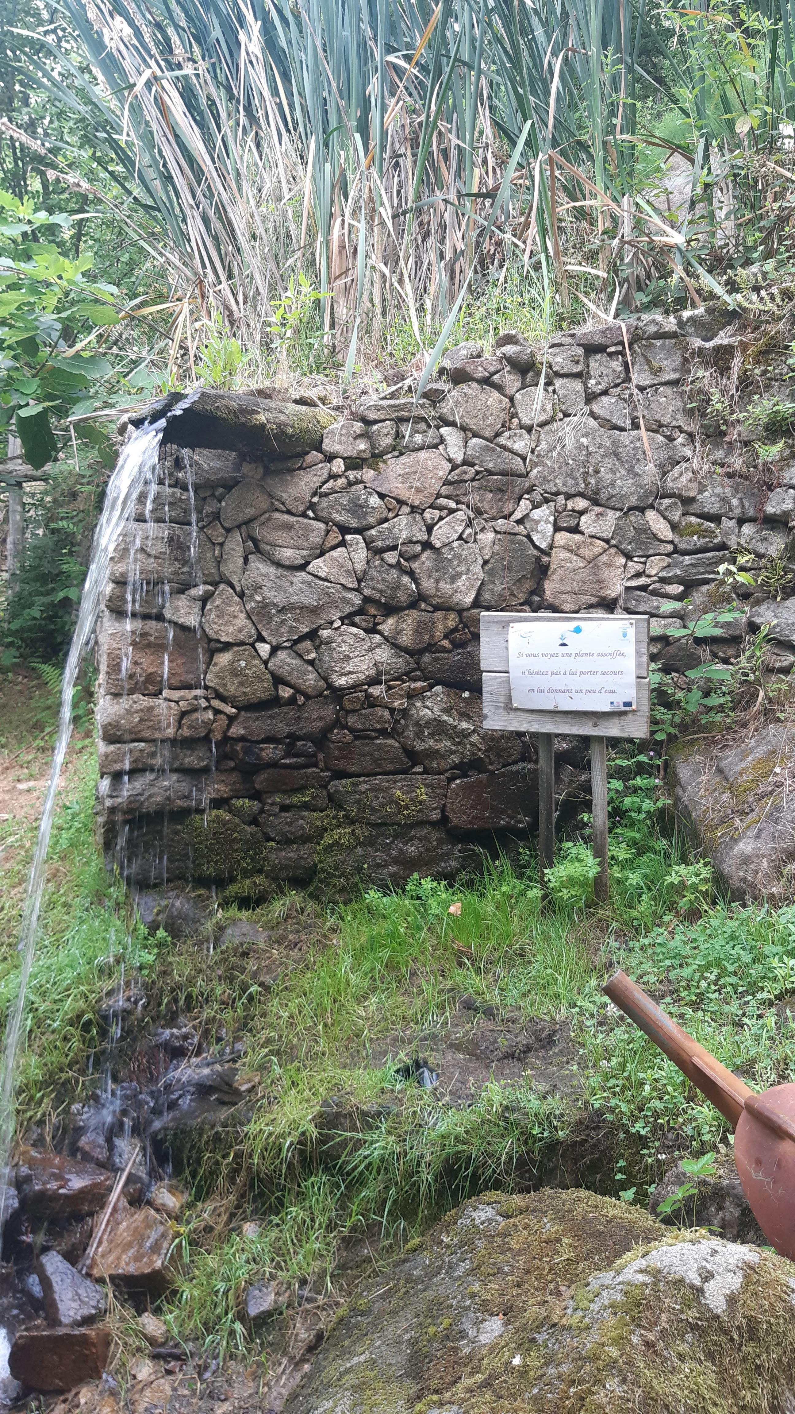 Photo n° 1 de l'avis de Dominique.e fait le 18/07/2023 à 15:42