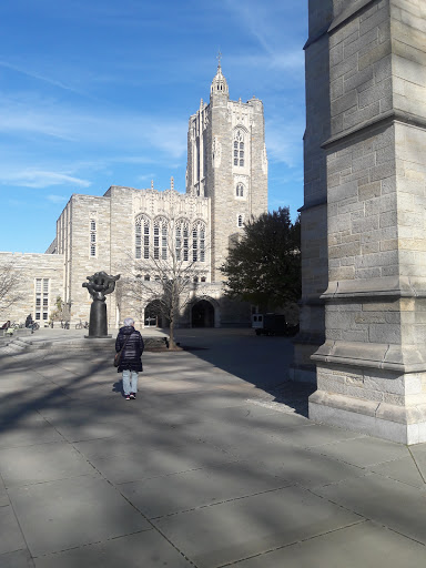 Museum «Princeton University Art Museum», reviews and photos, Elm Dr, Princeton, NJ 08544, USA