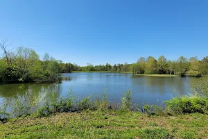 Thoreau Pond image