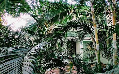 Lush Green Hut image