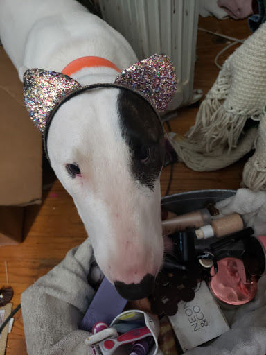 Hair Salon «Stylers Family Hair Salon», reviews and photos, 6237 Greenwood Rd, Shreveport, LA 71119, USA