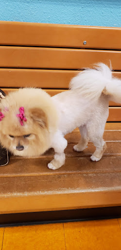 Pet Supply Store «PetSmart», reviews and photos, 139 Radio Dr, Stroudsburg, PA 18360, USA