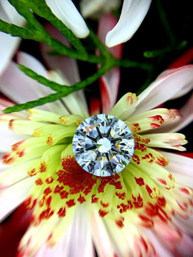 Jewelry Store «Pearce Jewelers», reviews and photos, 41 Glen Rd, West Lebanon, NH 03784, USA