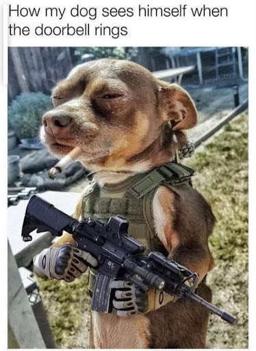 Ammunition Supplier «Treeline Sports, Inc.», reviews and photos, 1447 W Main St, Norristown, PA 19403, USA