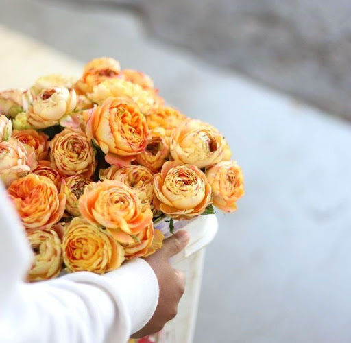 Florist «Farmgirl Flowers», reviews and photos, 901 16th St, San Francisco, CA 94107, USA