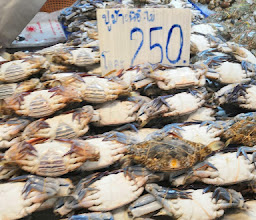 Рынок морепродуктов photo