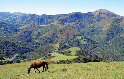 Chapelle à Saint-Étienne-de-Baïgorry à Saint-Étienne-de-Baïgorry