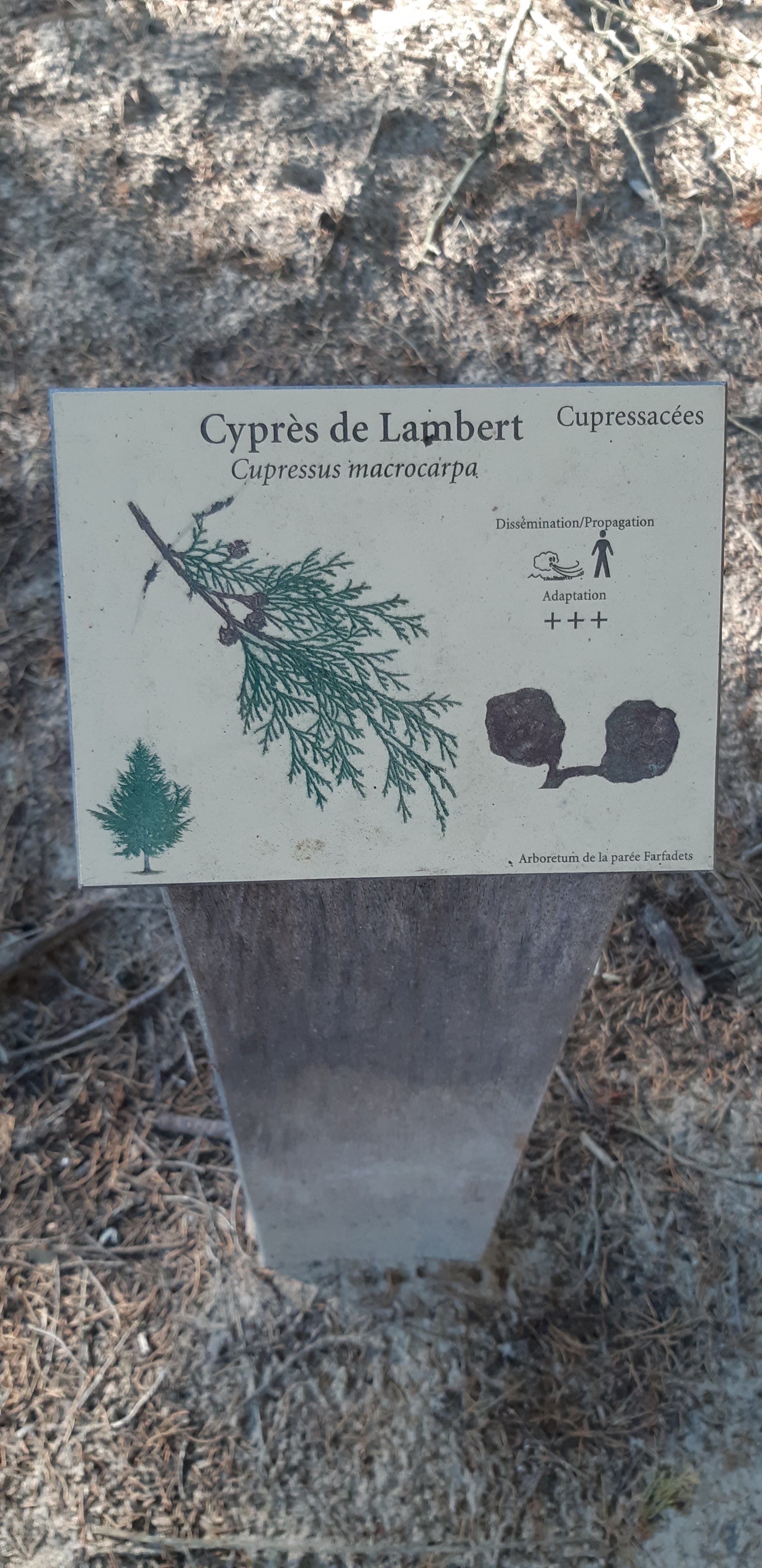 Photo n° 17 de l'avis de Yannick.a fait le 15/10/2018 à 10:38