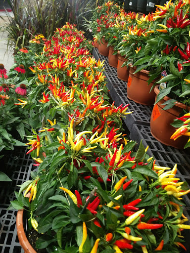 Shopping Mall «Haynes Market Shopping Center», reviews and photos, 3000 Old Alabama Rd, Johns Creek, GA 30022, USA