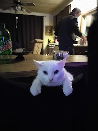 Petco - Photo 9 - Car repair in Fridley, MN, Minneapolis