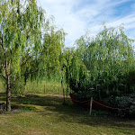 Photo n°4 de l'avis de Alessandro.u fait le 17/07/2021 à 15:28 sur le  Agriturismo La Soldanella à Rosta