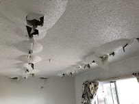 SuperBest Water Damage & Flood Repair Reno - Photo 9 - Car repair in Reno, NV, Reno