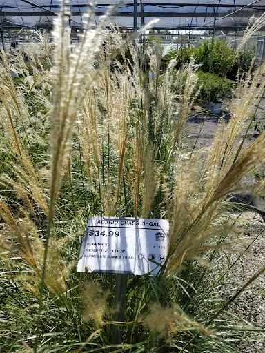 Plant Nursery «Guerin Nursery and Boutique», reviews and photos, 1418 Fall Creek Hwy, Granbury, TX 76049, USA