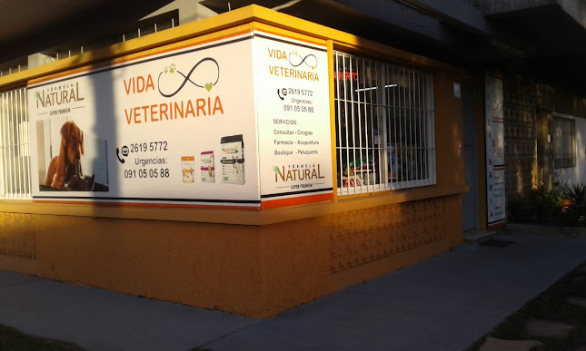 Opiniones de Veterinaria Orinoco en Montevideo - Veterinario