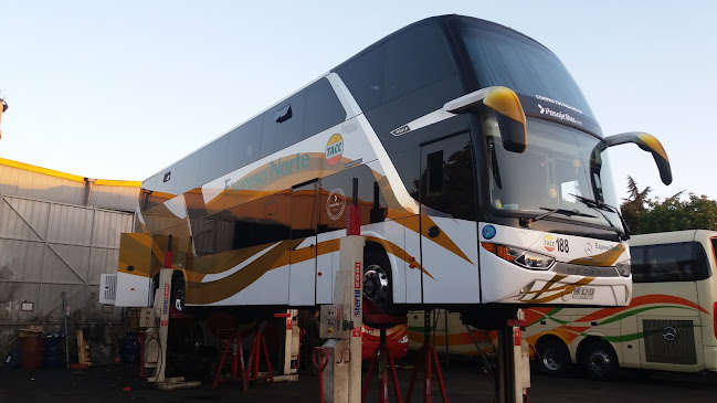 Opiniones de Buses Expreso Norte en Independencia - Servicio de transporte