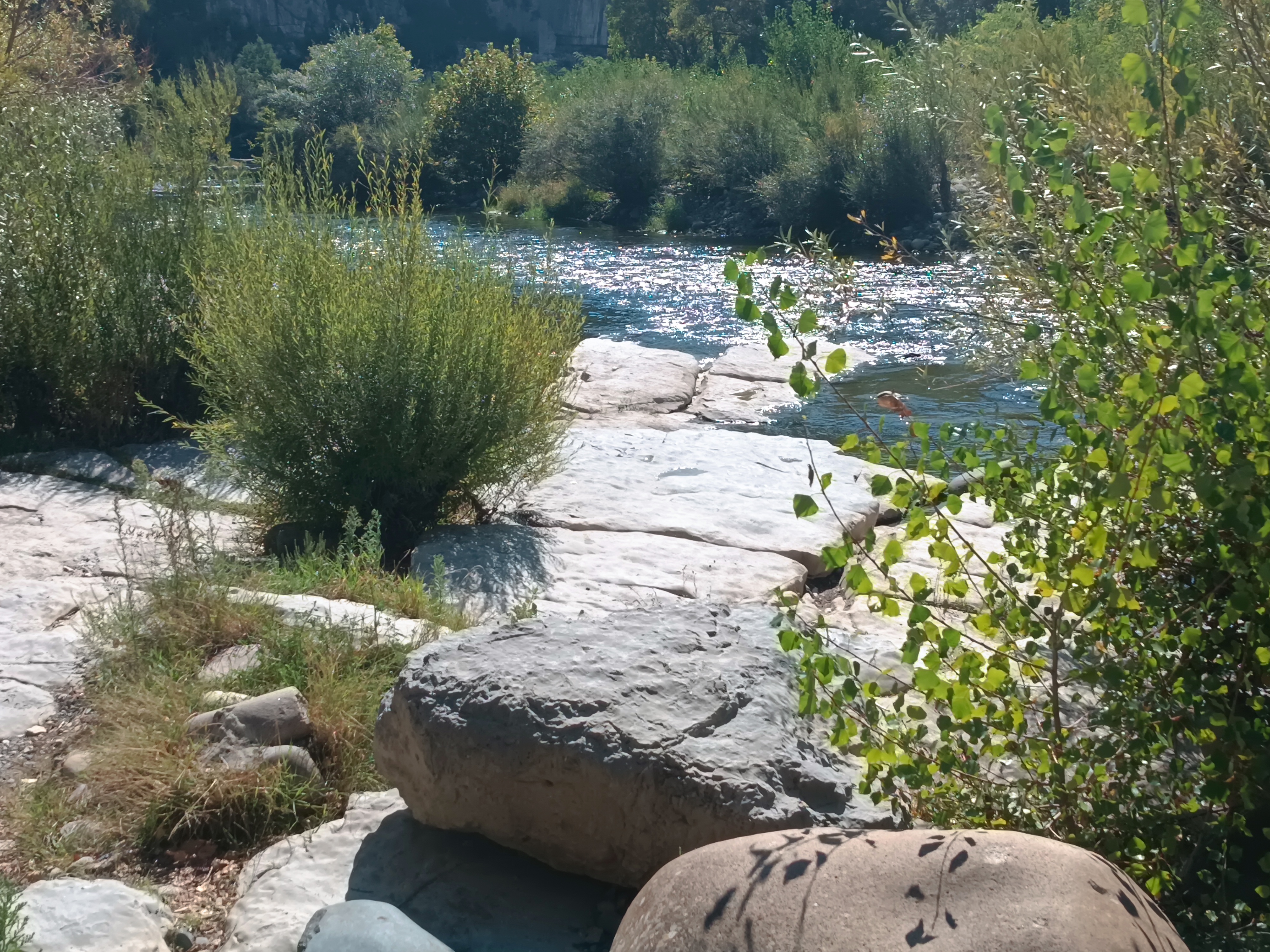 Photo n° 2 de l'avis de Vincent.I fait le 18/09/2023 à 15:45