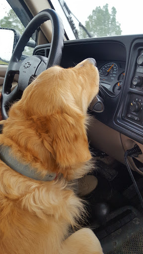 Used Car Dealer «R & R Sales, Inc. Yeswecanauto.com», reviews and photos, 624 6th St, Orland, CA 95963, USA