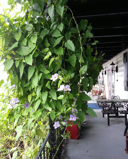 Furniture Store «Heartland Treasures», reviews and photos, 5153 US Hwy 27 S, Sebring, FL 33870, USA