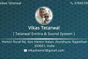 Vikas Tetarwal Emitra image