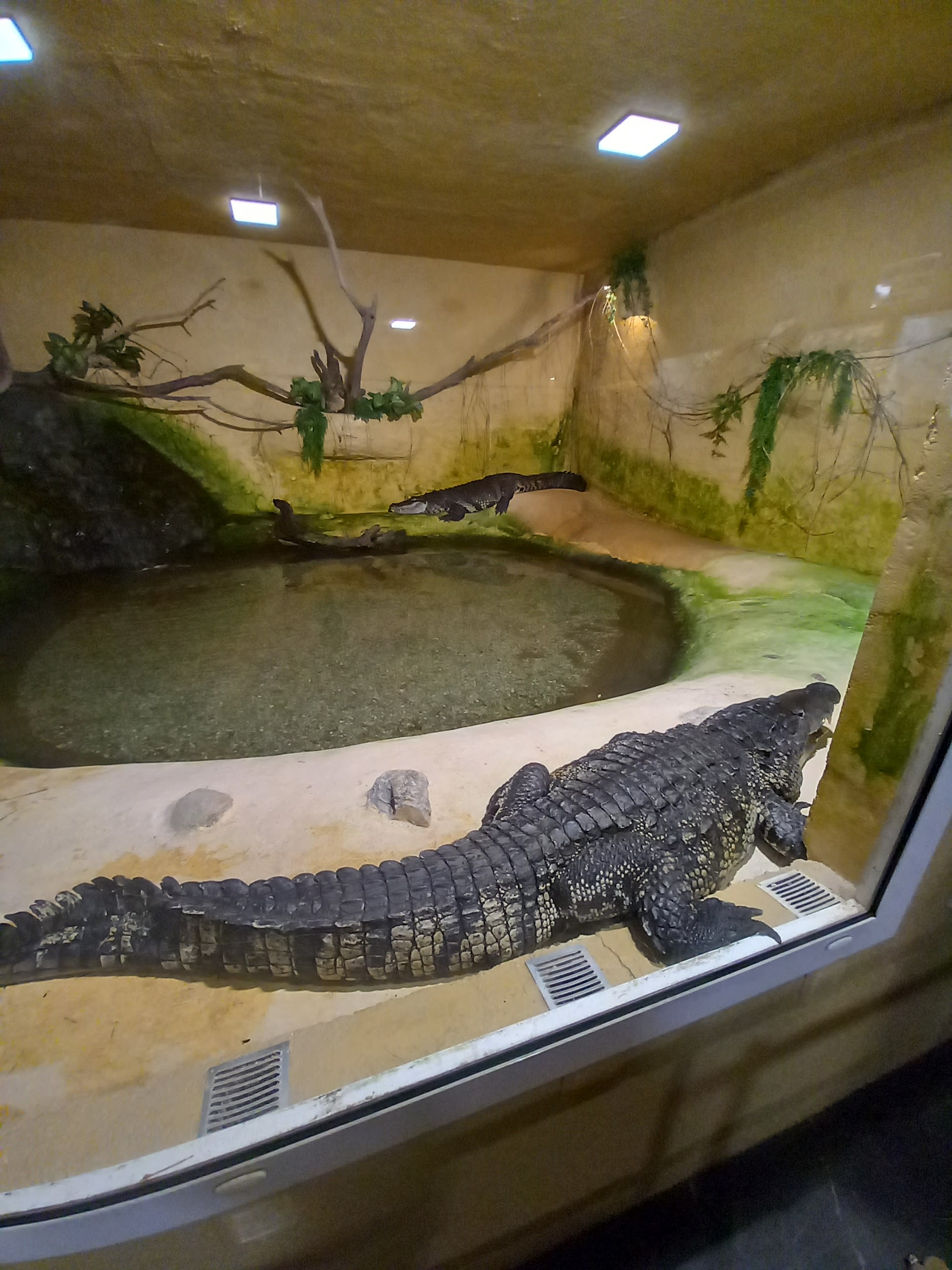 Photo n° 6 de l'avis de Lysiane.a fait le 19/07/2023 à 21:15