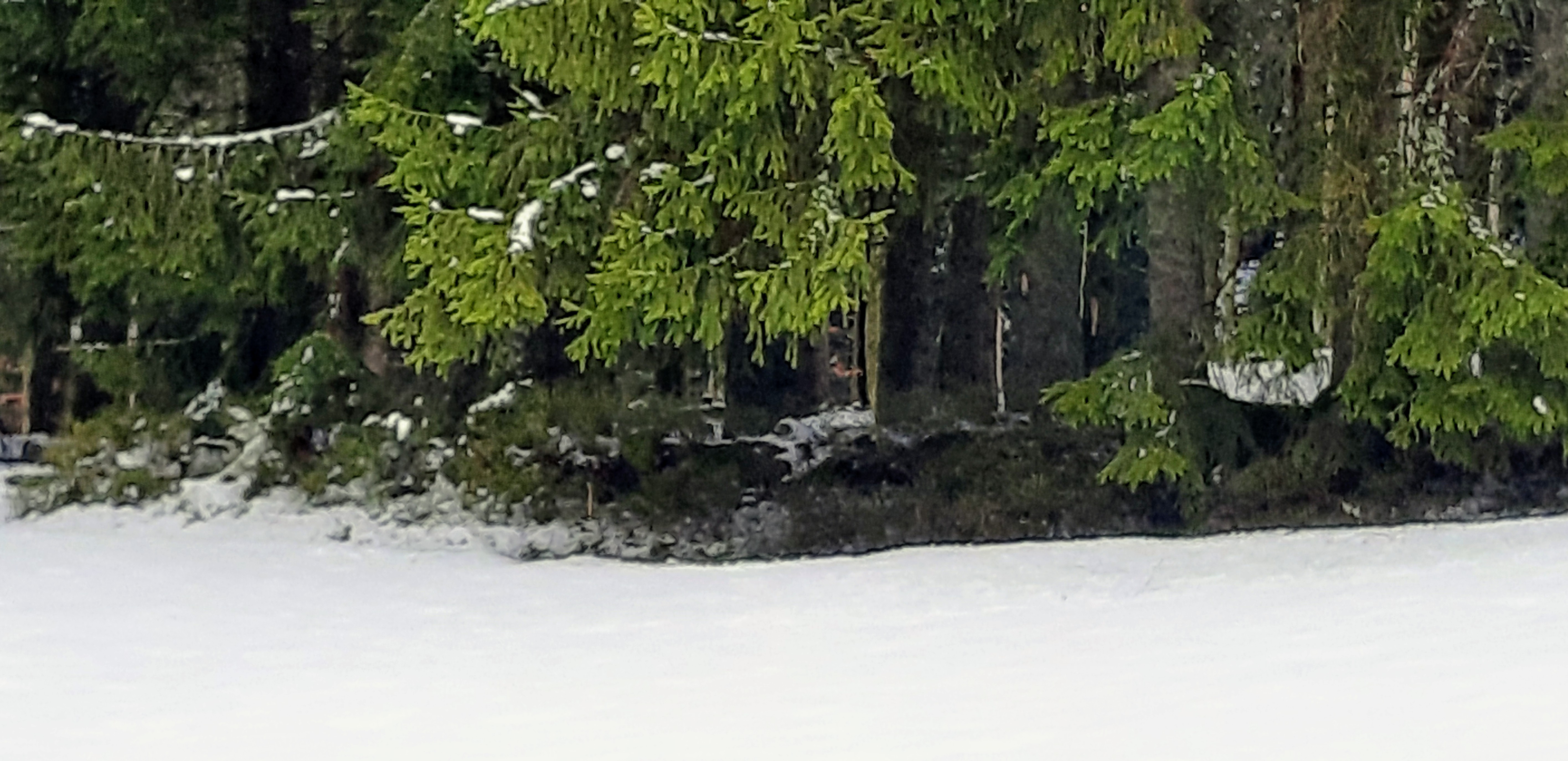 Photo n° 24 de l'avis de betty.o fait le 14/04/2019 à 10:33