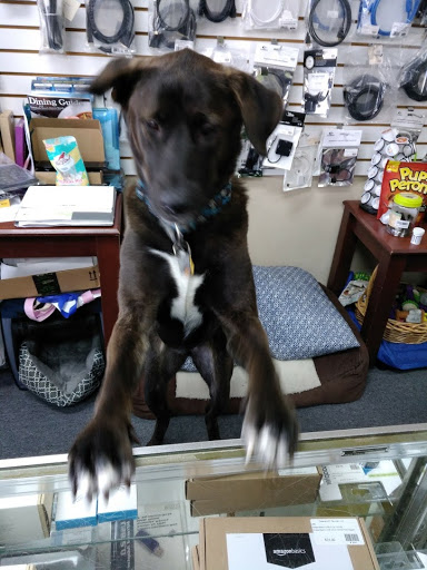 Computer Repair Service «Delaware PC Services, LLC», reviews and photos, 20660 Coastal Hwy #4, Rehoboth Beach, DE 19971, USA