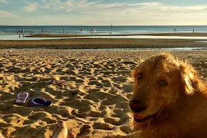 Dog Friendly Beach image