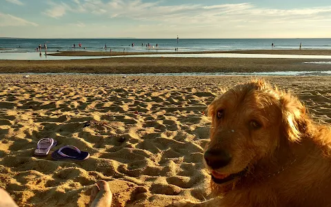 Dog Friendly Beach image