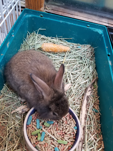 Pet Store «Animal Ark Pet Stores», reviews and photos, 33 Center St, Orem, UT 84057, USA