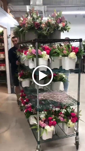 Florist «King florist of Austin», reviews and photos, 1806 W Koenig Ln, Austin, TX 78756, USA