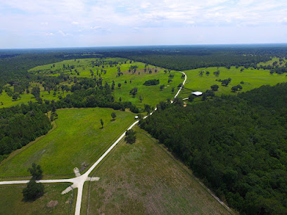 Hillside Cattle Farm