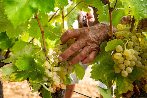 Domaine de Cassagnole à Berrias-et-Casteljau