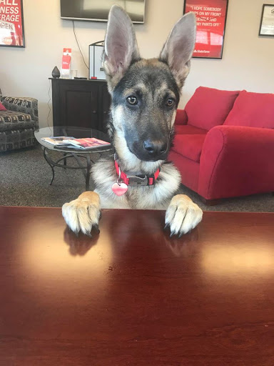 Insurance Agency «Terry Stach - State Farm Insurance Agent», reviews and photos