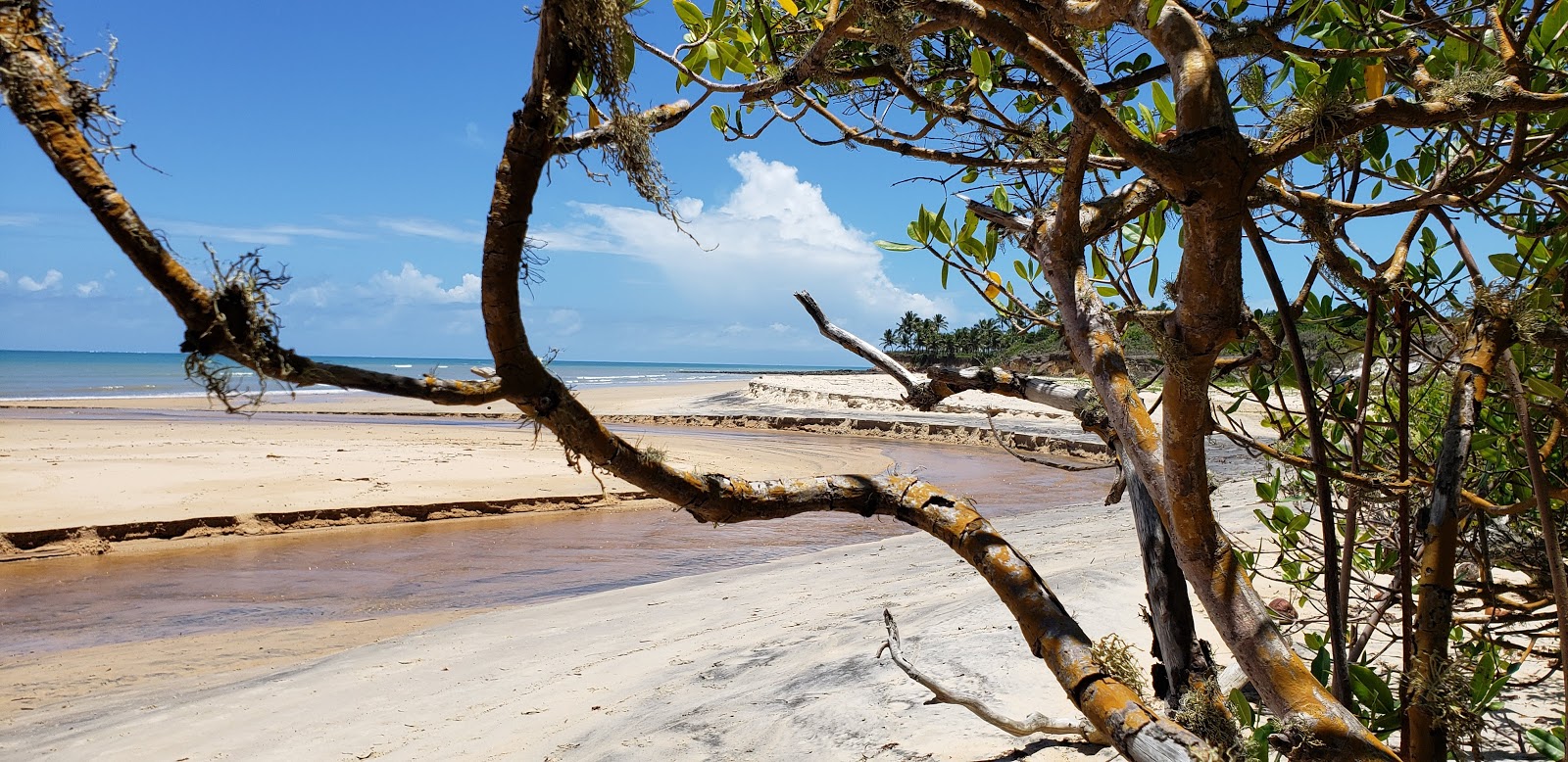 Foto de Praia do Riacho con arena beige superficie