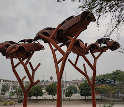 Juan Soriano Park photo