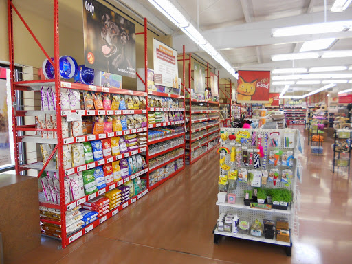 Pet Supply Store «Pet Food Express», reviews and photos, 1902 S Bascom Ave, Campbell, CA 95008, USA