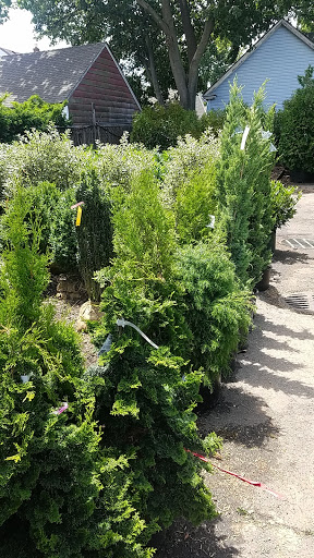 Garden Center «Westminster Nursery & Florist», reviews and photos, 30 Westminster Rd, West Hempstead, NY 11552, USA