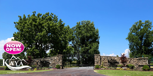 Vineyard «Kaya Vineyard & Winery», reviews and photos, 5400 Town Creek Rd, Dahlonega, GA 30533, USA