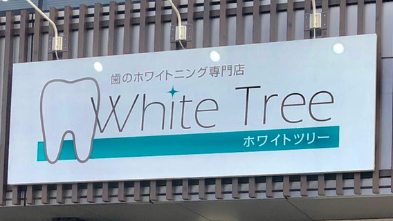 White Tree 水戸店