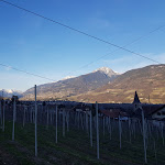 Photo n°2 de l'avis de Nobbi. fait le 21/03/2019 à 18:52 sur le  Löwenwirt à Tscherms