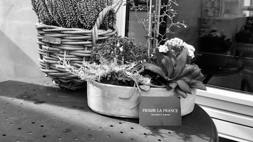 Frisør La France in Skævinge, Hillerød