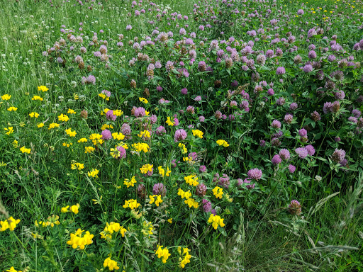 Park «Fisher Hill Reservoir Park», reviews and photos, 78-144 Fisher Ave, Brookline, MA 02445, USA