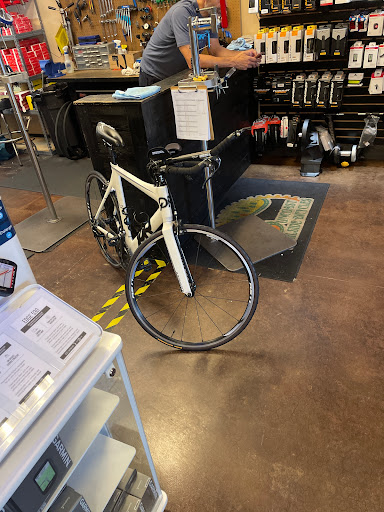 Bicycle Store «Suncoast Trailside Bicycles», reviews and photos, 16216 FL-54, Odessa, FL 33556, USA