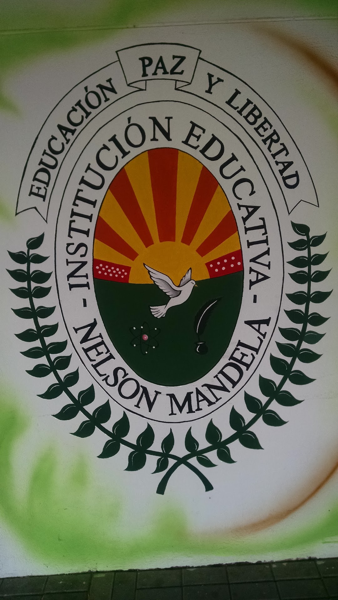 Colegio Nelson Mandela Valledupar
