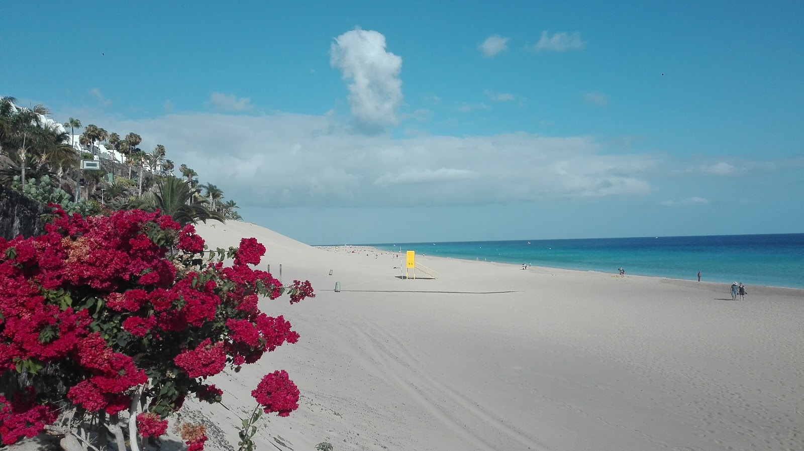 Foto af Playa del Matorral beliggende i naturområde