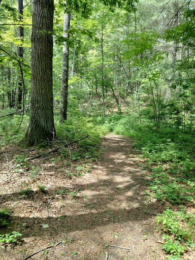 Nature Preserve «Summer Star Wildlife Sanctuary», reviews and photos, 690 Linden St, Boylston, MA 01505, USA