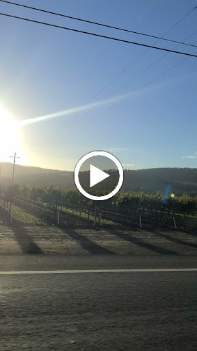 Winery «Back Road Vines», reviews and photos, 2221 Julian Ln, Fairfield, CA 94534, USA