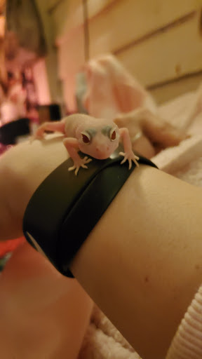 Pet Supply Store «PetSmart», reviews and photos, 4824 211th St, Matteson, IL 60443, USA